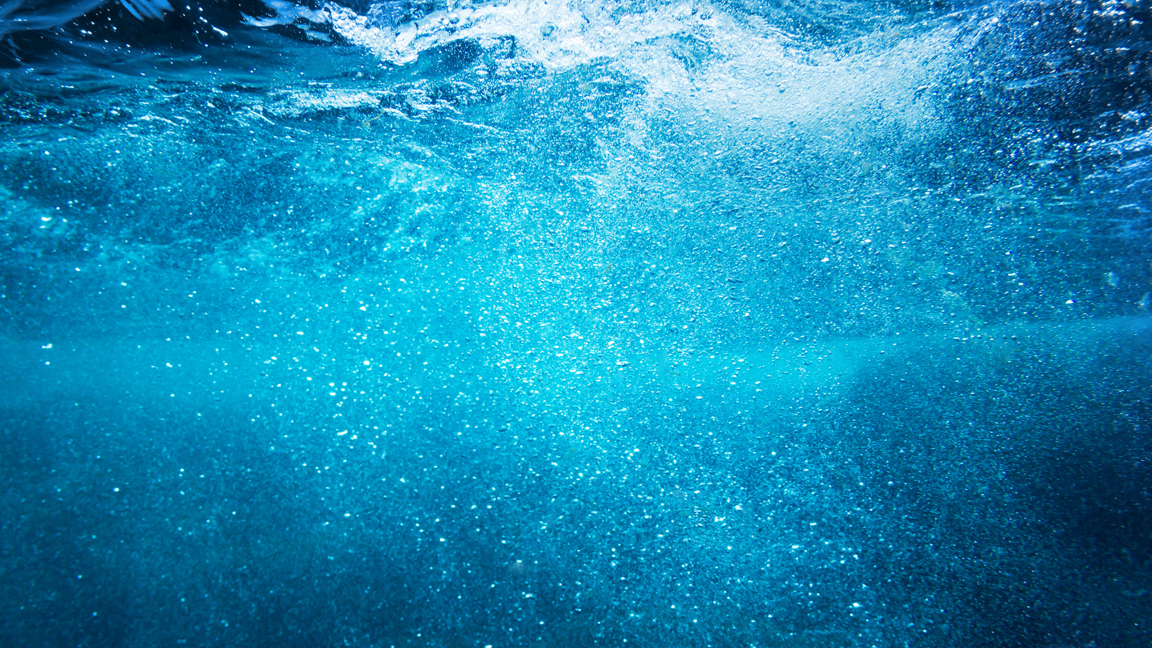 Tier 1 Marine Dealer Vendor Wholesale Products